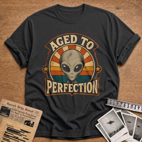 Aged To Perfection 24 T-Shirt - Charcoal