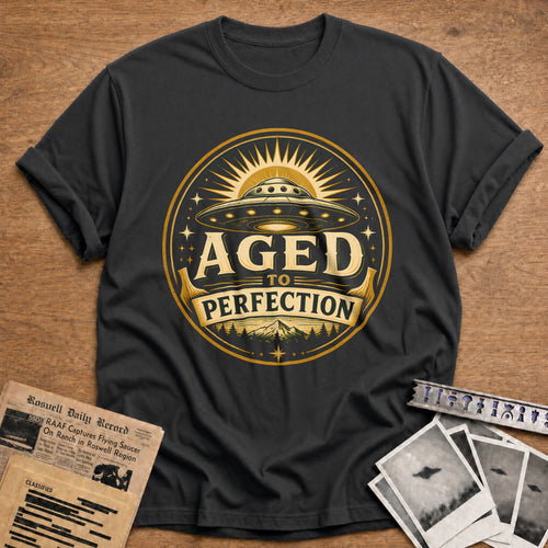 Aged To Perfection Ufo Green 95 T-Shirt - Charcoal